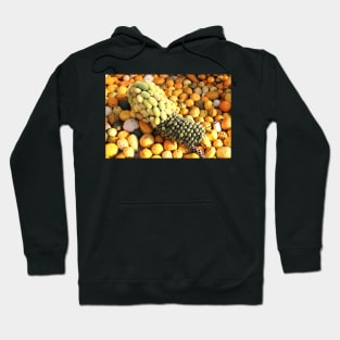 Group of pumpkins Hoodie